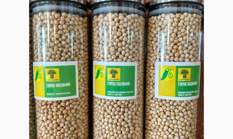 Насіння жовтого гороху "ЕСО" на продаж - фото № 1