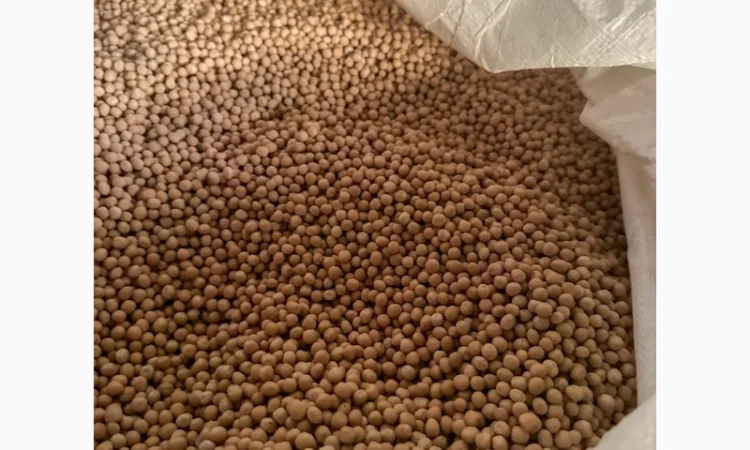 Насіння жовтого гороху "ЕСО" на продаж - фото № 3