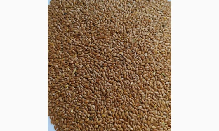 Продам льон коричневий олійний-130т - фото № 1