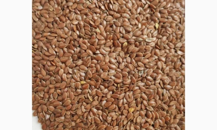 Льон насіння - фото № 1