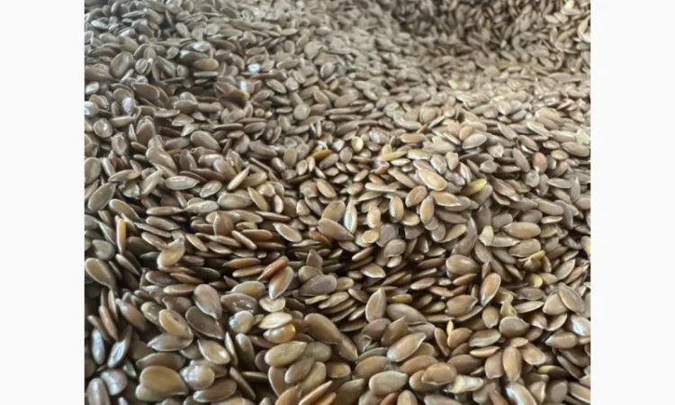 Продам лен коричневый на экспорт - фото № 4