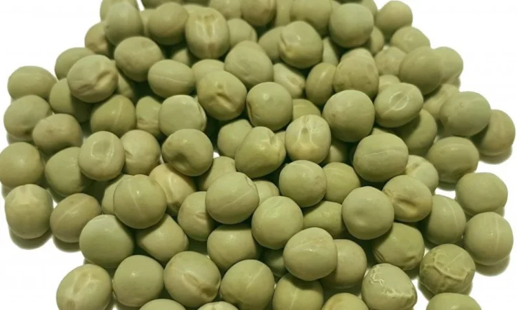 Горох зеленый сорт Импульс - фото № 1