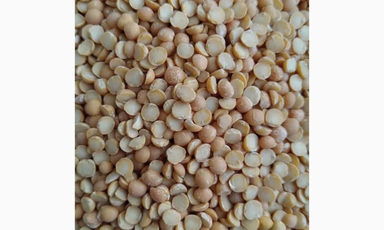 Продам горох жовтий колотий- 110т - фото № 2