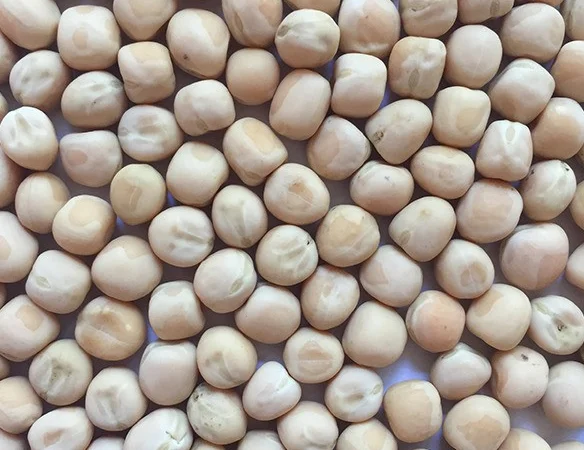 Горох жовтий - фото № 1