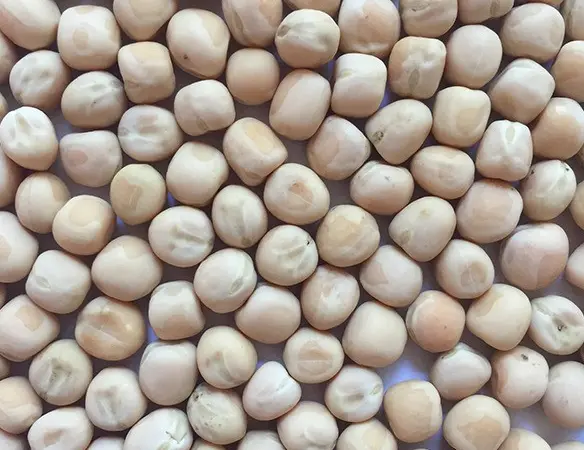 Горох жёлтый - фото № 2