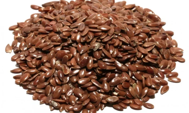 Льон коричневий масляний - фото № 1