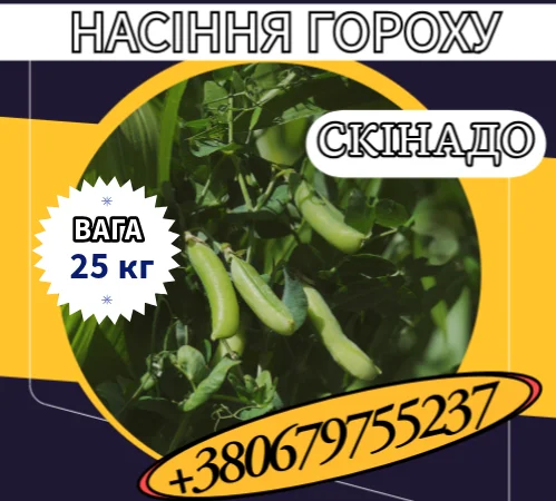 Насіння цукрового гороху Скінадо (25 кг) у продажу - фото № 1
