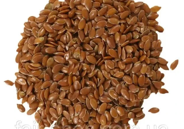 Насіння льону (водограй) - чисте - фото № 1