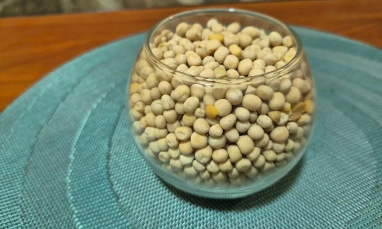 Горох ярий Вернон – продажа від виробника - фото № 1