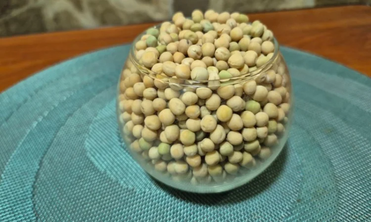 Горох озимый Балтрап – идеальный сорт для осеннего посева - фото № 1