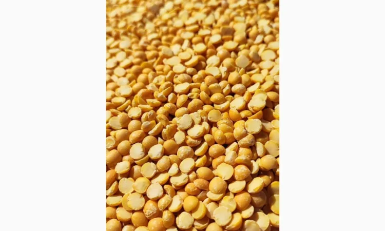 Пропонується жовтий колотий горох найвищої якості - фото № 1