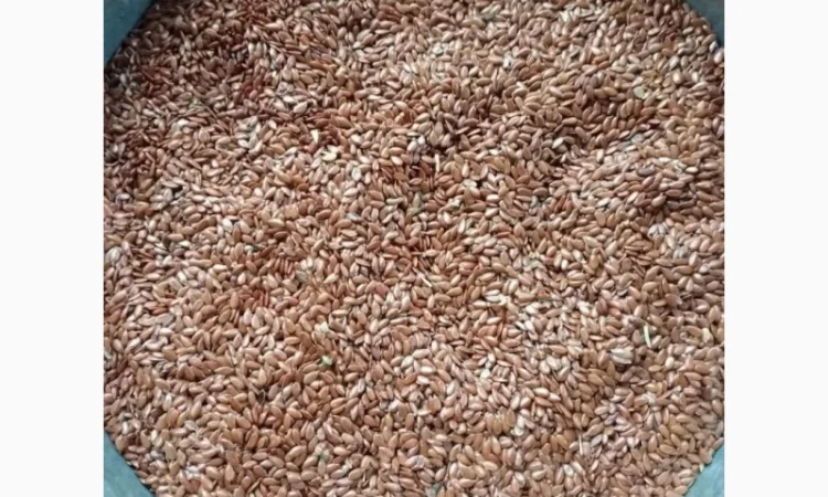 Продаємо льон коричневий - фото № 1