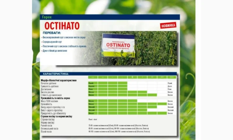 Продаж насіння жовтого гороху - фото № 3