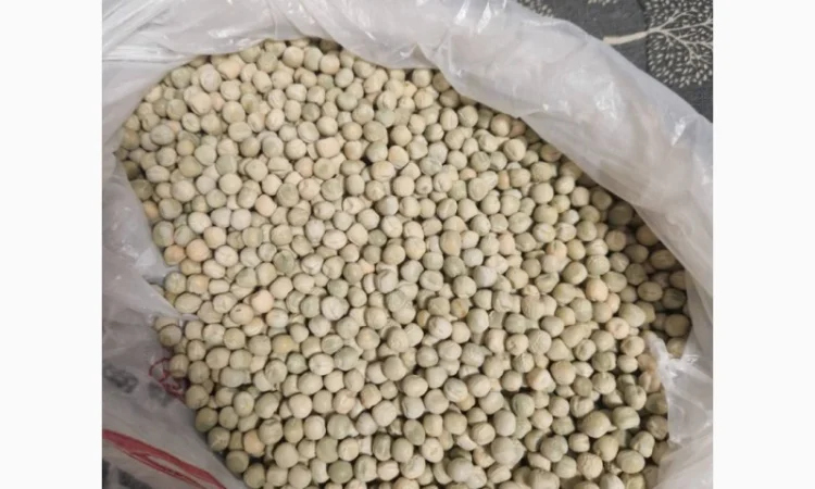 Продаж насіння жовтого гороху - фото № 6