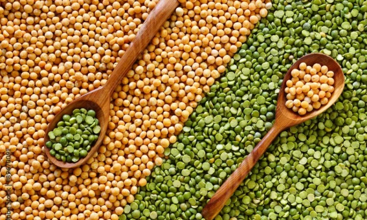 Куплю желтый и зеленый горох - фото № 1