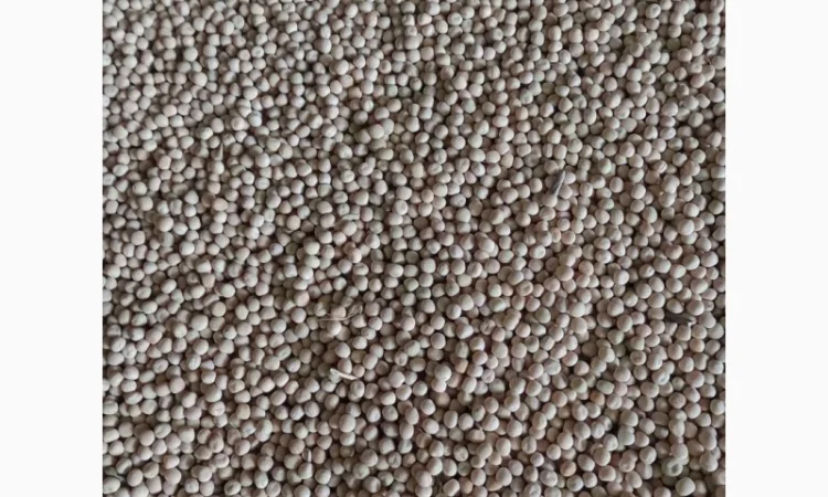 Пропонується жовтий горох - фото № 2