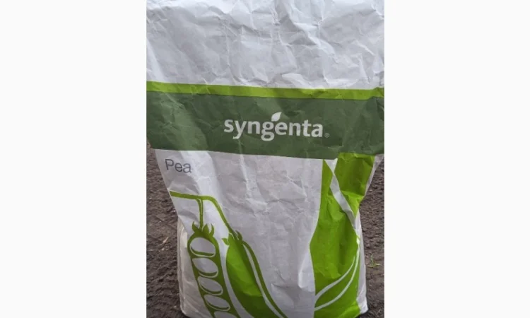 Продается семена супер сладкого гороха сортов Оскар и Прєладо - фото № 1