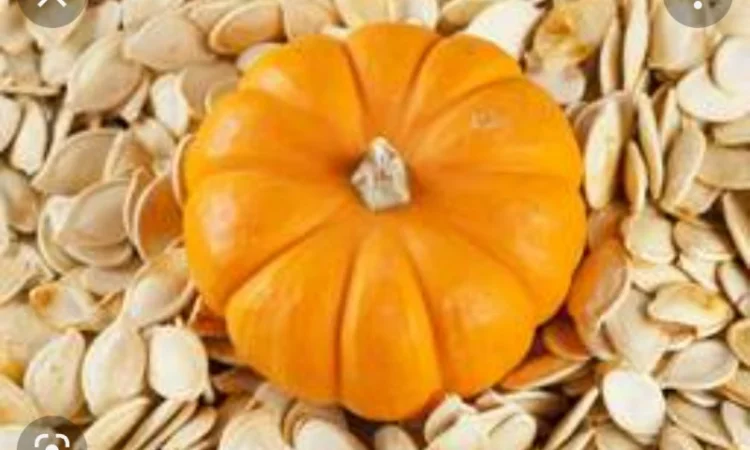 Продам гарбузове насіння - фото № 1