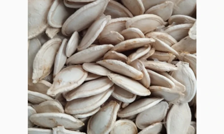 Продам гарбузове насіння - фото № 1