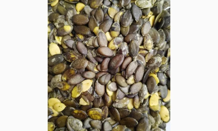 Продажа семян тыквы голозерного типа (лущеные) - фото № 2