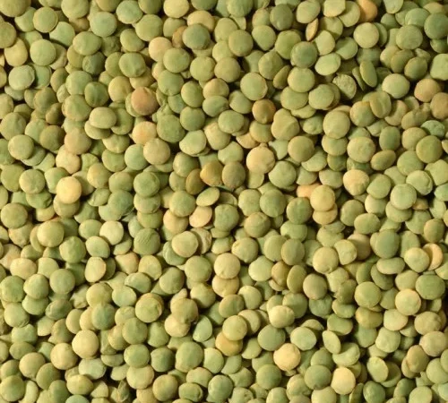 Насіння сочевиці зеленої Лінза - фото № 1