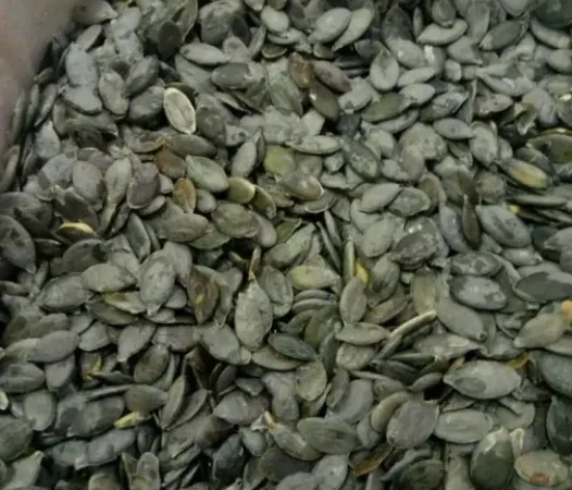 Насіння голонасінневого гарбуза - фото № 1