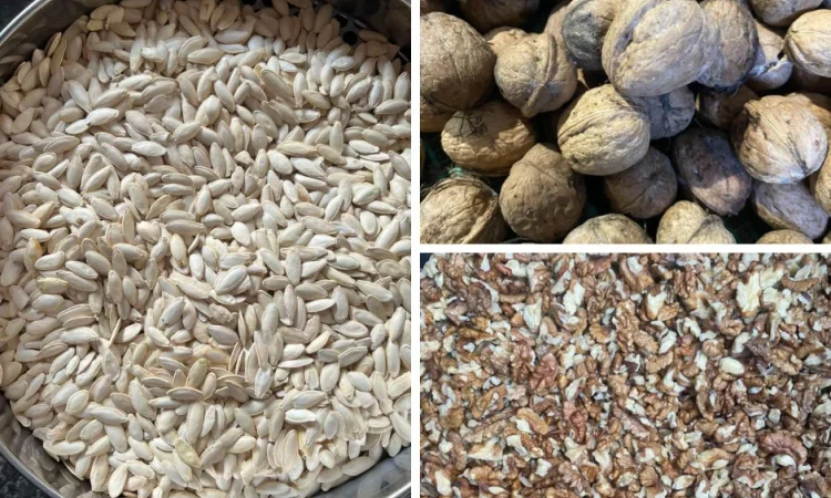 Закуповуємо насіння гарбуза та волоський горіх - фото № 1
