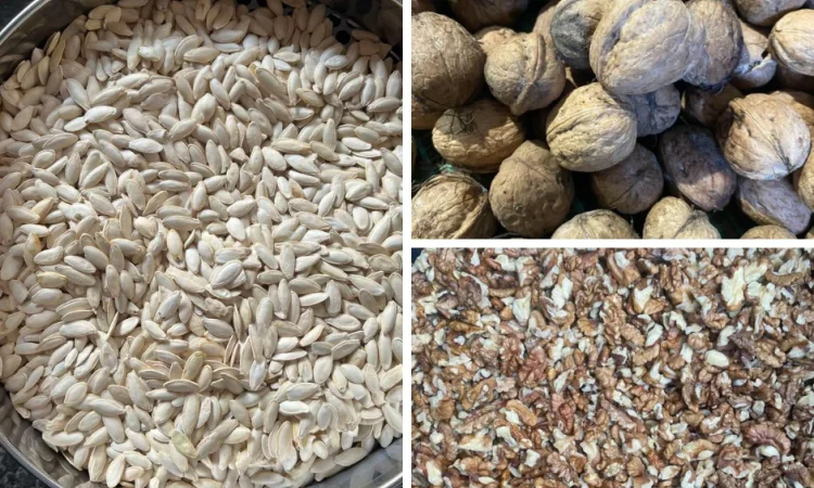 Закупівля насіння гарбуза та волоський горіх - фото № 1