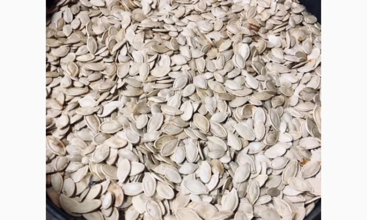 Продам тыквенные семечки - фото № 1