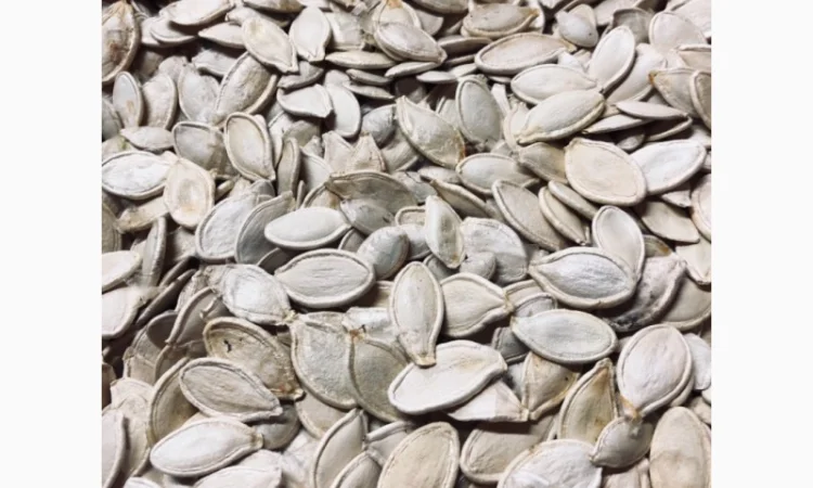 Продам тыквенные семечки - фото № 2