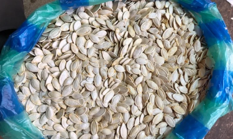Продам тыквенные семечки - фото № 3