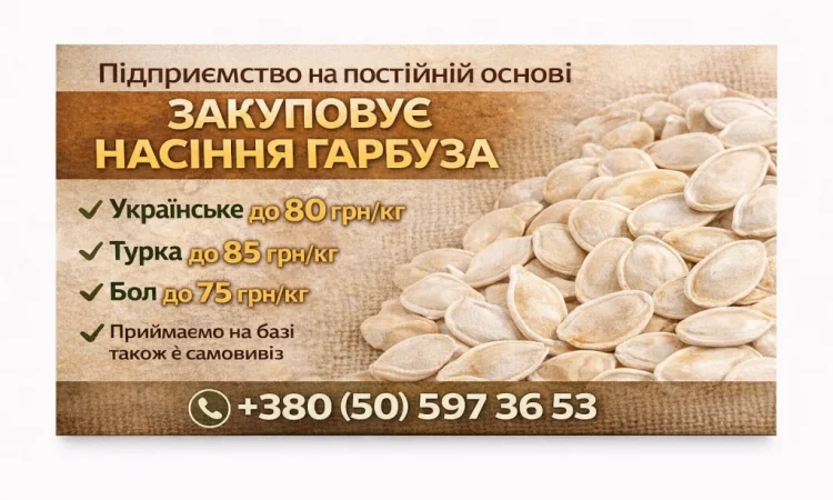 Насіння гарбуза - фото № 1