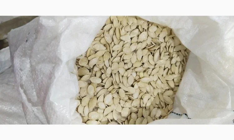 Продам насіння гарбуза - фото № 2