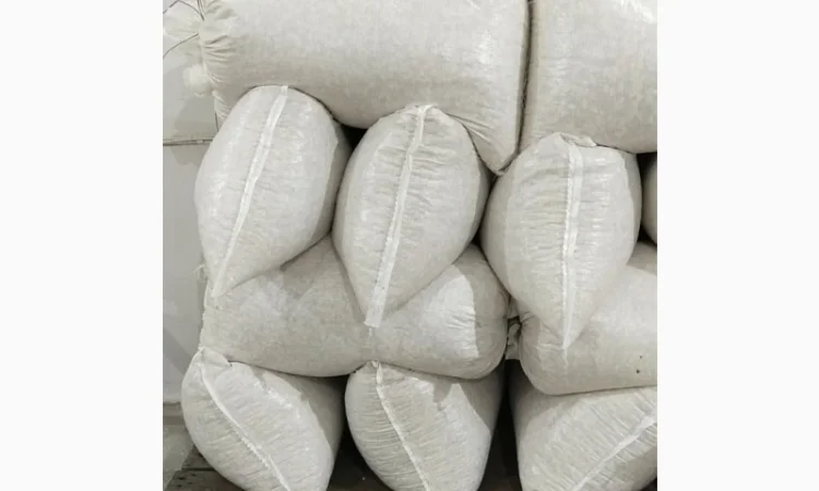 Продам насіння гарбуза - фото № 3