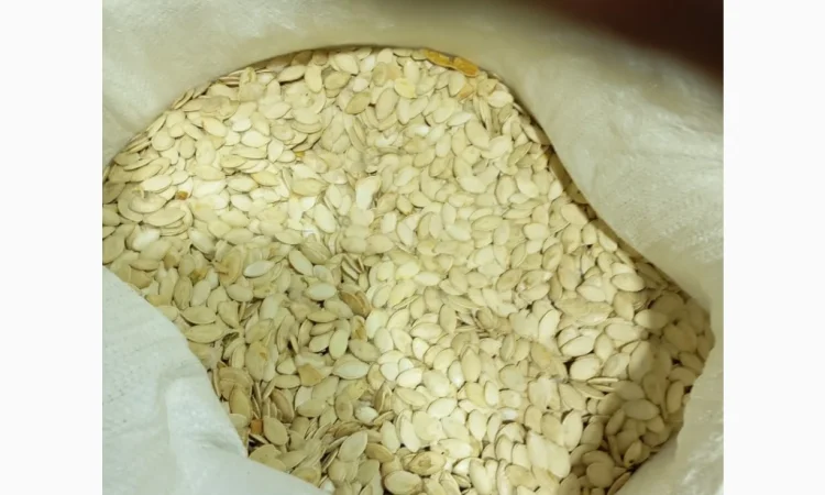 Куплю гарбузове насіння - фото № 2