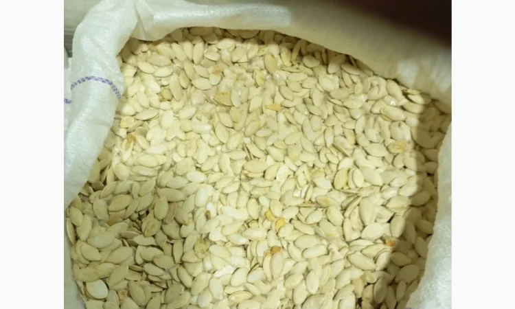 Куплю гарбузове насіння - фото № 3