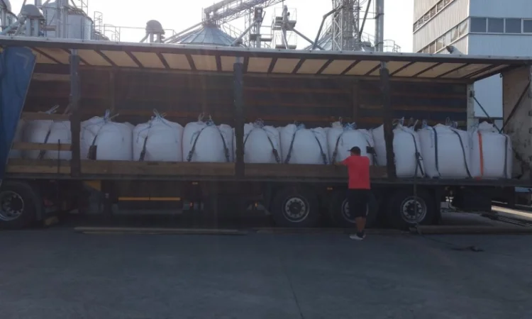 Постіно закуповуємо сочевицю червону та зелену - фото № 2