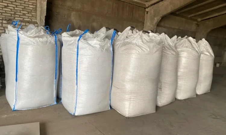 Продажа семян тыквы оптом - фото № 2