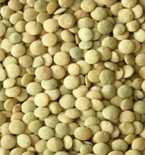 Продам зелена сочевиця - фото № 1