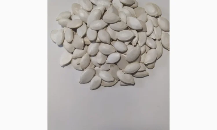 Пропонуємо до продажу гарбузове насіння на постійній основі - фото № 2