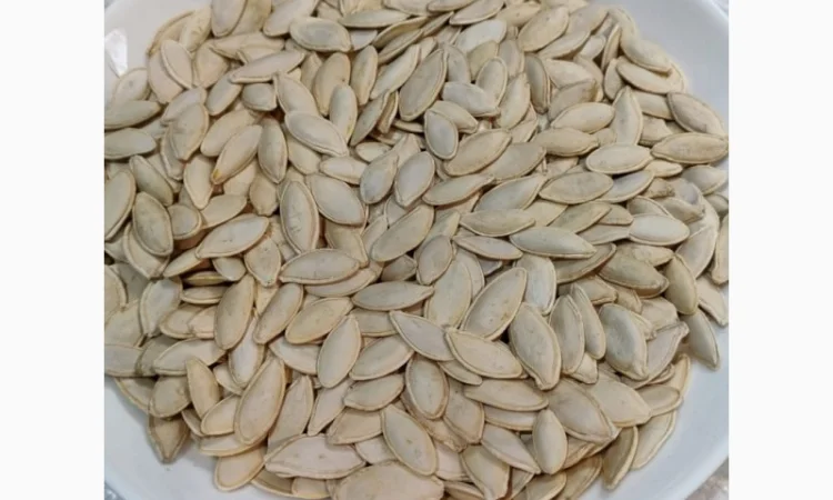 Закупка семян тыквы всех сортов на постоянной основе - фото № 3