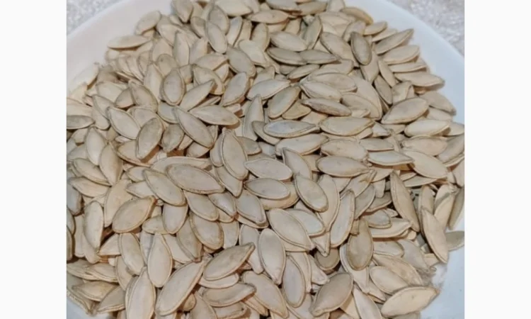 Закупка семян тыквы всех сортов на постоянной основе - фото № 4