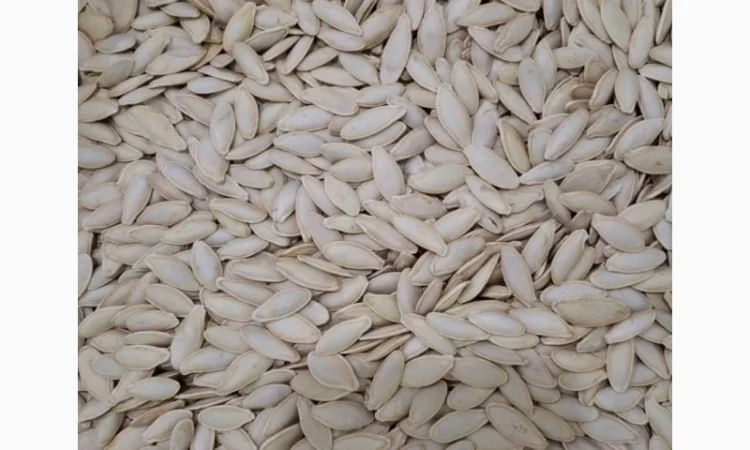 Закупка семян тыквы всех сортов на постоянной основе - фото № 6