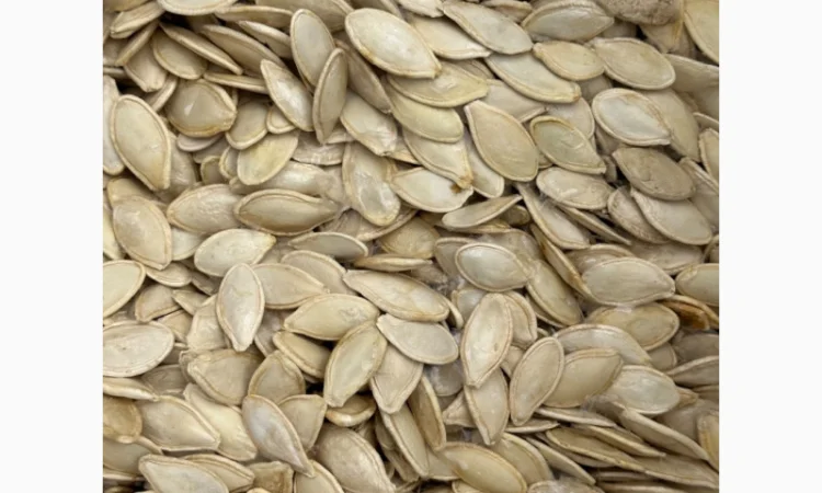 Продается семена тыквы сорта «Украинка многоплодная» от 20 тонн - фото № 4