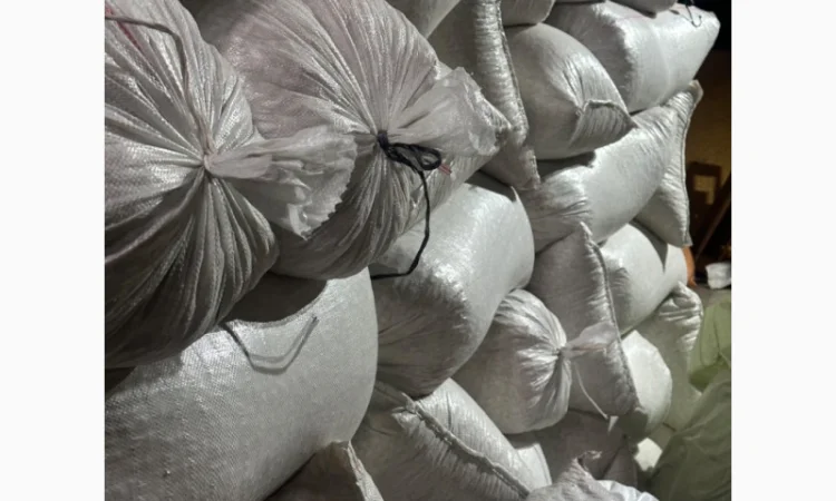 Продается семена тыквы сорта «Украинка многоплодная» от 20 тонн - фото № 5