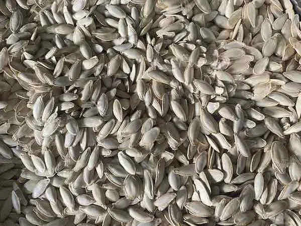 Купуємо гарбузове насіння Болгарка - фото № 1