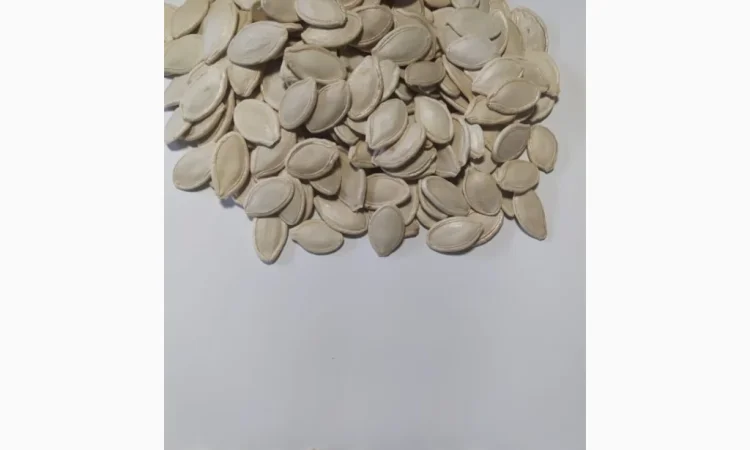 Насіння гарбуза - фото № 1