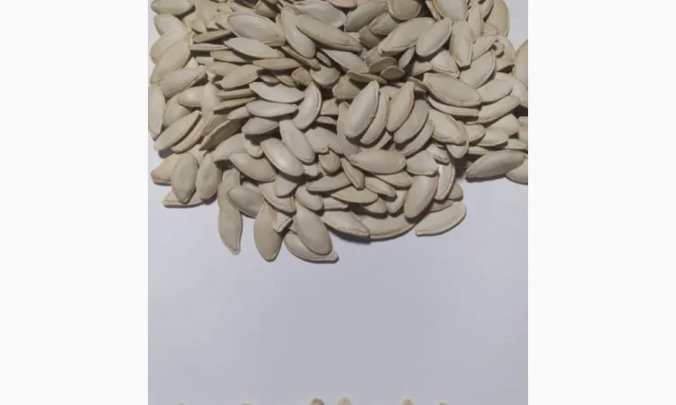 Насіння гарбуза - фото № 2