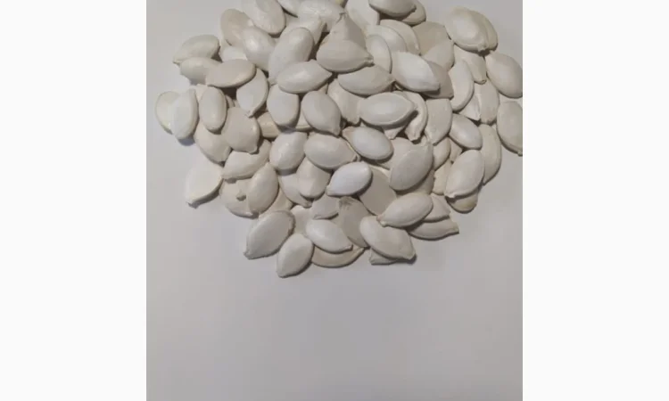 Насіння гарбуза - фото № 3