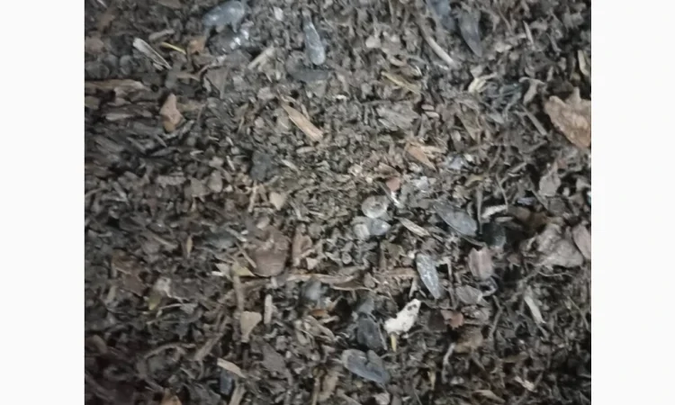 Продам гуртом мертві відходи від соняшника та ріпака від 22 т - фото № 3